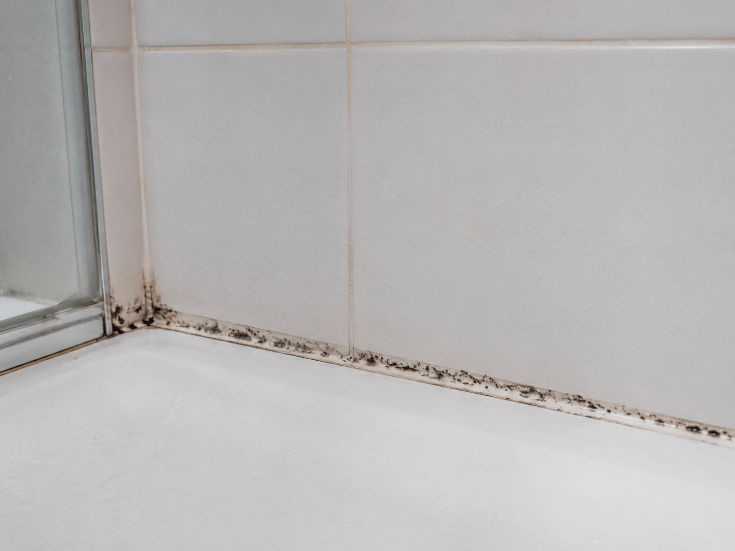 Returning mould on an interior surface after cleaning